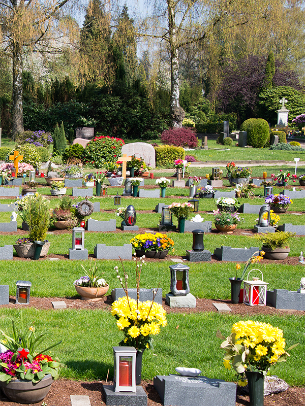 Ein weitläufiges, gepflegtes Gräberfeld auf einem Friedhof mit zahlreichen Blumen, Grablichtern und kleinen Kreuzen unter frühlingshaften Bäumen